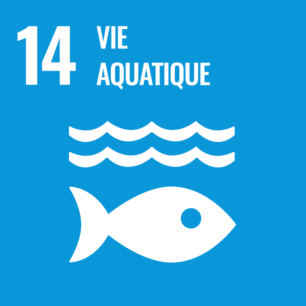 Le quatorzième objectif de développement durable de l'ONU: Vie aquatique