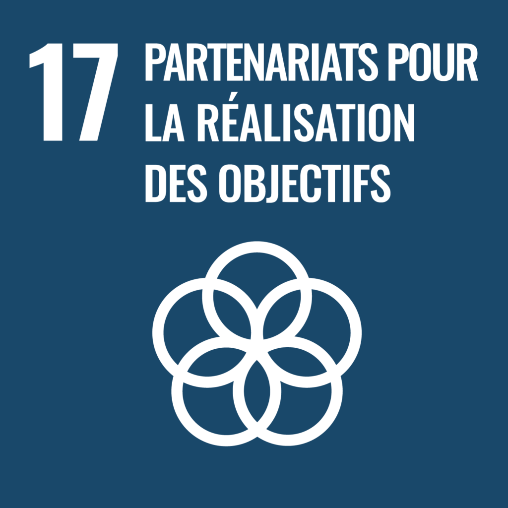 Le dix-septième objectif de développement durable de l'ONU: Partenariats pour la réalisation des objectifs