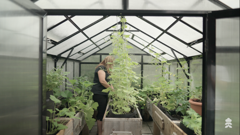 Marie-Hélène Dubeau, creator of Les Décarbonés, taking care of a plant inside a greenhouse.