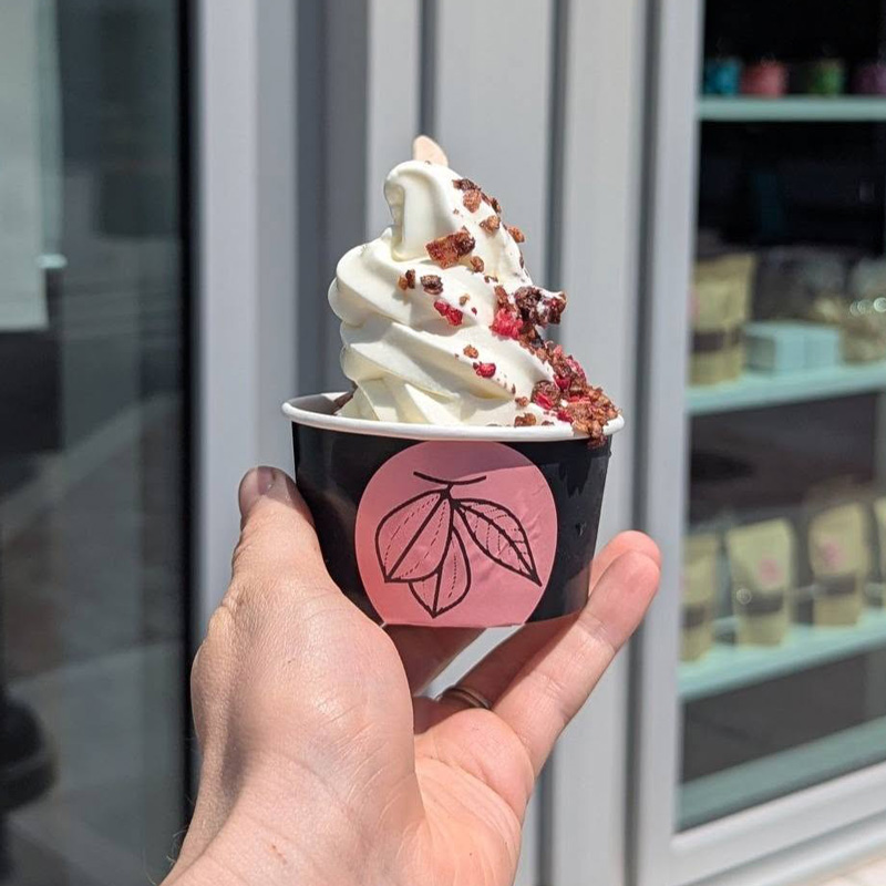 Gelato de Charmoie Chocolat